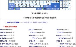 快捷键必备工程师操作技巧Layout(空格命令输入窗口测量)