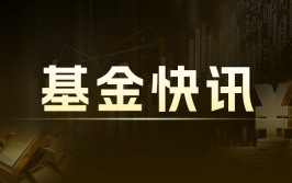 沪深港通ETF扩容：7月22日新增85只ETF，总数达241只