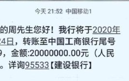 转账被判造假一键有人短信(转账造假记录一键被判)