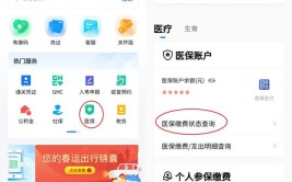 省事医保社保APP(省事广东省事项异地医保)