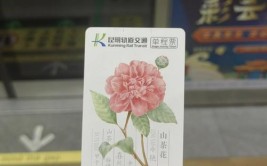 昆明使用指南月卡地铁收藏电子(昆明地铁月卡电子里程)