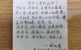 心得体会我学书法(心得体会书法我学行草个字)