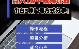 顺利通过新手计划视频(视频计划顺利通过新手头条)