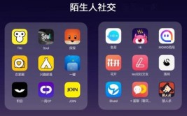 社交软件用了搞什么对象(社交的人软件用了搞什么)