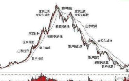 才是散户主力市场凯狮优配(大票仍是散户小票才是)