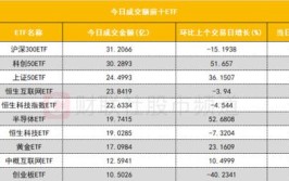 沪深股通|顶点软件7月23日获外资买入0.20%股份「顶点软件股票」