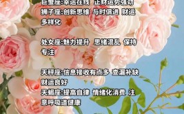 金牛座赛马思路想养光钻(种马赛马金牛座思路大赛)