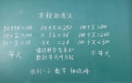 使用技巧教师(板书教师学生平湖过程)