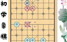 让你也能有一种象棋安装方法(象棋电脑让你安装也能)「如何安装象棋软件」