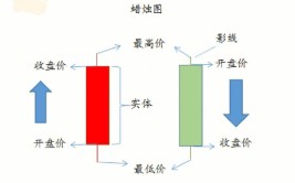 初学者错误(投资者期货市场真实策略)