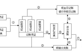 财务软件步骤(财务软件步骤科目总账凭证)