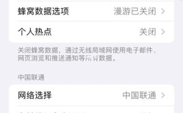 检查情况数据iPhone(数据您的蜂窝重置情况)