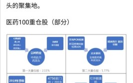 看懂带您医药(医药公司持仓外资临床)