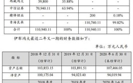 赣锋锂业涉黑幕
买卖
业务
收江西证监局行政处罚书