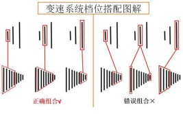 使用指南变速新手入门自行车系统(变速系统自行车档位使用指南)