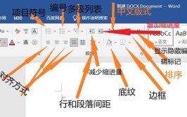 文档功能Word(文档按钮单击选项卡组中)