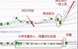 干货选股速度收藏股票选到好(选股股票干货收藏速度)