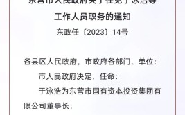 东营集团有限公司简章市金国有资本(东营集团有限公司人员市金国有资本)