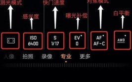 就会基础教程模式手机拍照专业(就会模式专业基础教程手机拍照)