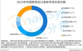 越南一亿浏览量京东跨境月均(越南卖家您的跨境平台)