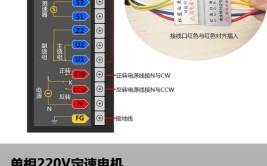 新手入门快速(调速器新手入门快速电枢参数)