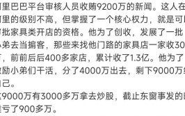 阿里国资集团实控人曾涉贪腐案IPO(龙山万元集团阿里亿元)