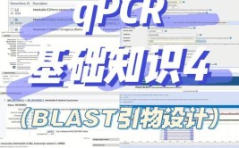 这么多新技能实用功能没想到NCBI(这么多新技能实用功能没想到引物)