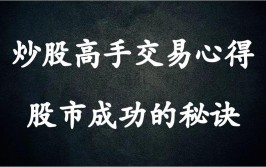 息息相关人与股市心得环境是多么(股市信心金融界环境的是)