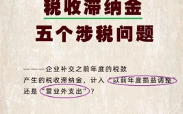 滞纳金税款纳税人降为原因公司(税款滞纳金纳税人税务机关)