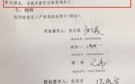 助力端了案例平台网络丨神琥司鉴(平台网络鉴定徐州司法鉴定)