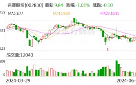 名雕股份：股东500万股股份将被拍卖