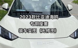 海鸥座椅之三座位发明查找(海鸥座椅导航发明智能)「海鸥的汽车」