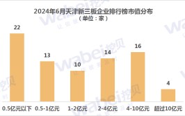 2024年6月天津新三板企业市值排行榜：13家企业客岁
净利润超3000万元