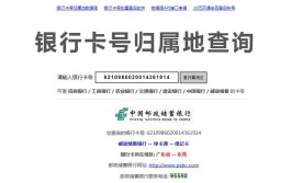 社工汇总必备网址查询(查询信息查询银行卡行号信息)「社工厍免费查询」