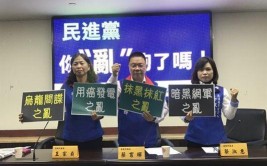 民进党上线AIChatDPP(民进党参考消息法案党主席机构)