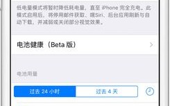 你对健康状况电池iOSiPhone(电池健康状况读数自己的选项)