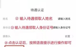 朝阳养老保险机上领取待遇资格(认证待遇养老保险朝阳领取)「朝阳养老保险管理中心」