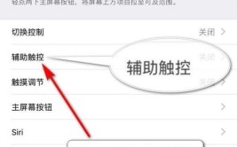 辅助功能苹果手机(中国网选项辅助辅助功能设置)「辅助功能 iphone」
