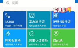 领事使馆常见问题中国驻解答APP(使领馆您的申请护照申请人)