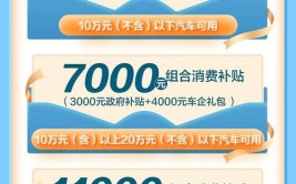 补贴消费立减开抢(办理消费好办领取业务)「消费补贴平台」