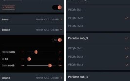 管理软件低音功能强大视频D12sPerlisten(低音管理软件低音炮功能强大视频)