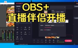 攻略视频OBS(视频攻略画面直播间软件)