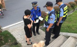 杭州狗狗城管绝招犬类系统(养犬城管城管局犬类社区)