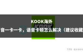 声音海外建议解决收藏语音卡(仿宋声音海外语音卡解决)