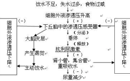 稳态利器流程软件(稳态软件机理物性流程)