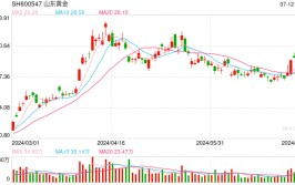 股价放量大跌 山东黄金回应：确有部分机构投资者反馈公司上半年业绩不及预期