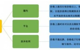 豆粕期权是什么