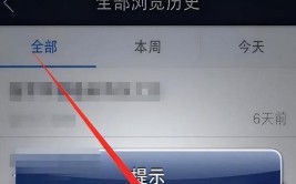 就没实情历史记录机上在手人道(自己的浏览网站就没手机)