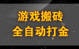 全自动脚本自写搬砖人(小编游戏新概念操作很好)