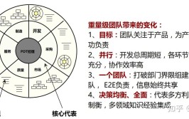 关键性角色PDTIPD(经理项目都是团队过程中)